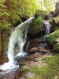 c0359615_21074021.jpg