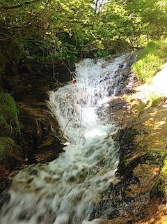 c0359615_21075444.jpg