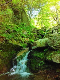 c0359615_21080592.jpg