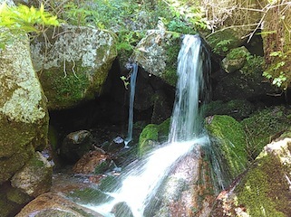 c0359615_21081977.jpg
