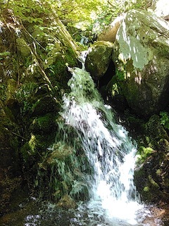 c0359615_21084549.jpg