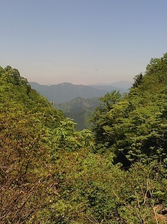 c0359615_21085777.jpg