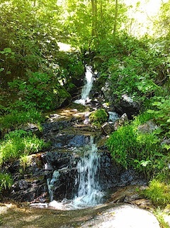 c0359615_21091079.jpg