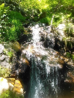 c0359615_21093053.jpg