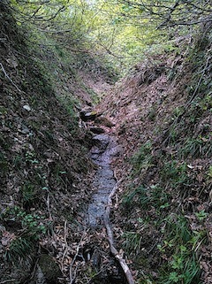 c0359615_21094057.jpg