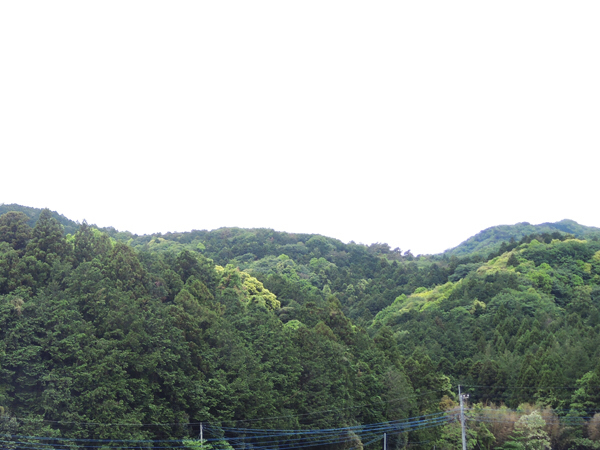 c0346119_05503417.jpg