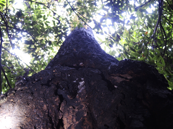 c0346119_05503696.jpg