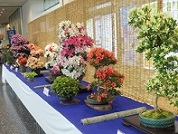 c0133422_14525125.jpg