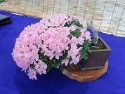 c0133422_14531654.jpg