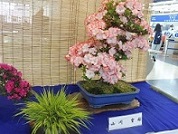 c0133422_1457128.jpg