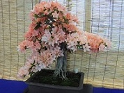 c0133422_14575328.jpg