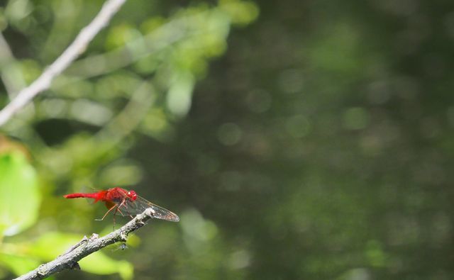 c0369423_22303840.jpg