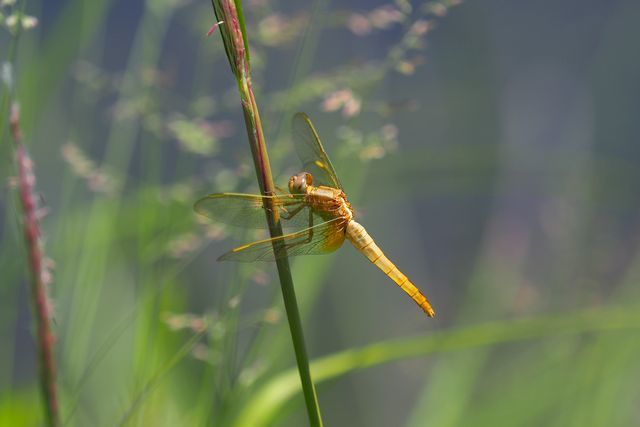 c0369423_22355398.jpg