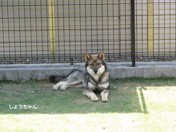 f0143123_09444159.jpg