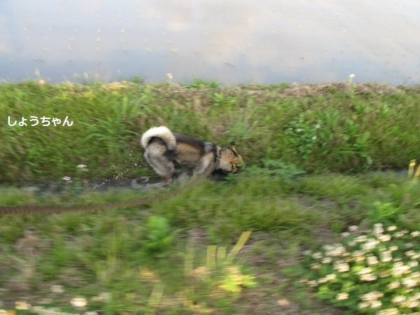 f0143123_09495350.jpg