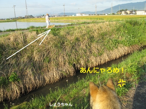 f0143123_18123465.jpg