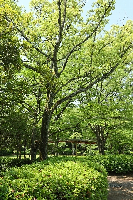 a0242438_19475017.jpg