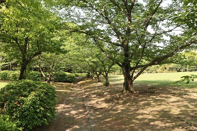 a0242438_19475024.jpg