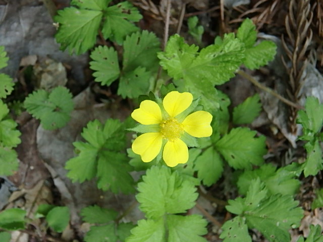 f0334143_8115866.jpg