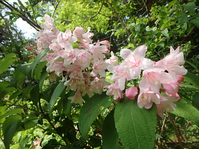 f0334143_8125328.jpg