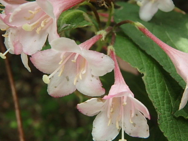 f0334143_8143389.jpg