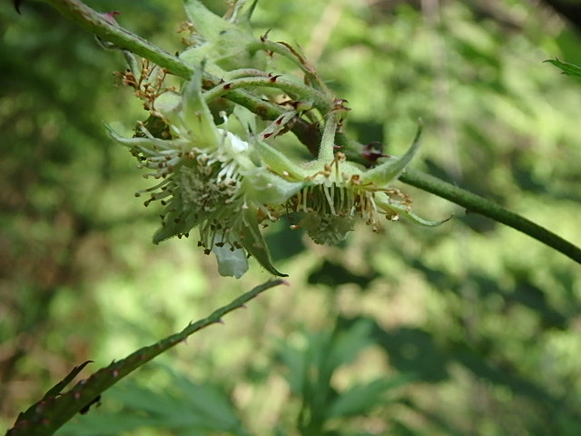 f0334143_8182984.jpg