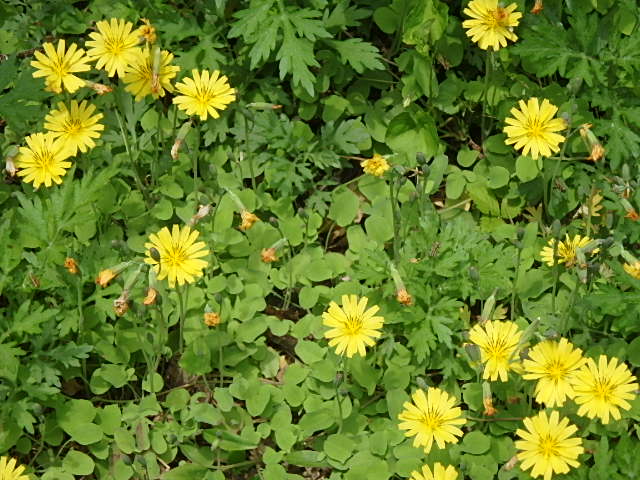 f0334143_891158.jpg