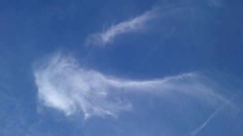 f0326946_02281055.jpg