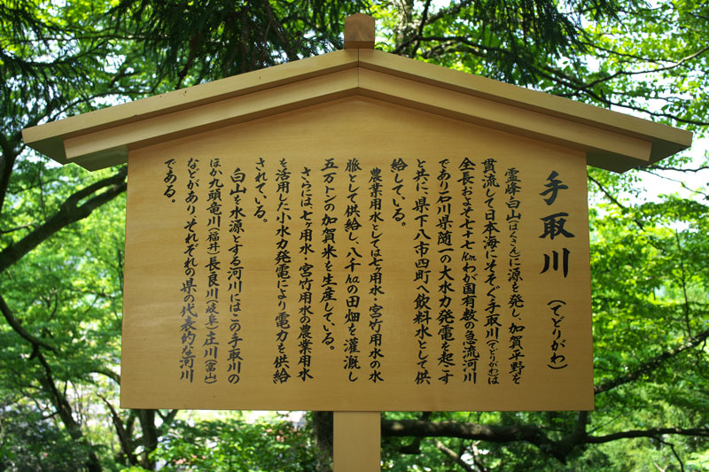 d0342652_17372918.jpg