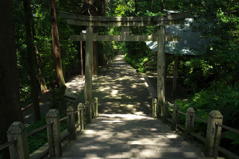 d0342652_1741657.jpg