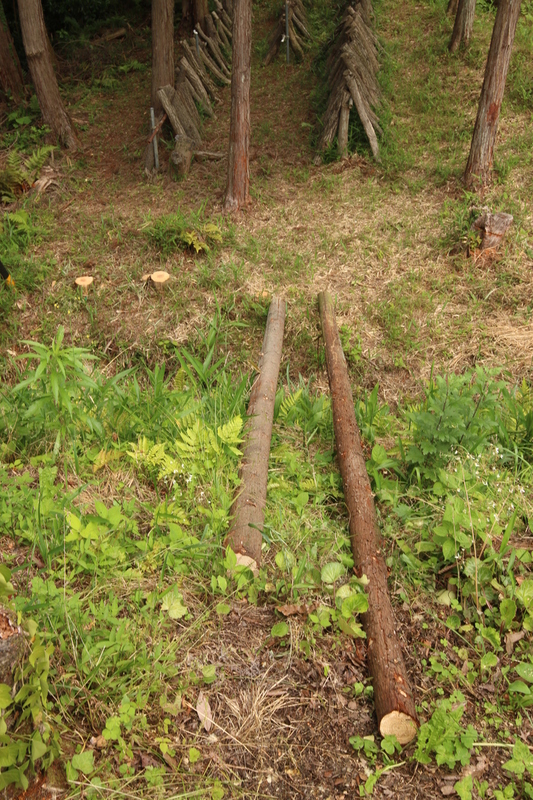 c0074553_8215654.jpg