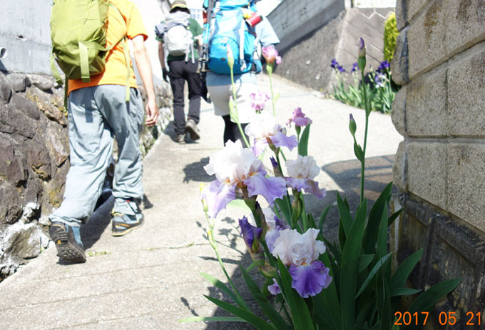 b0075364_1647439.jpg