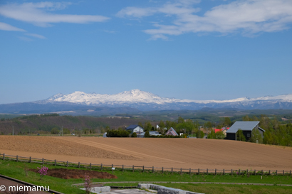 d0340565_20041632.jpg