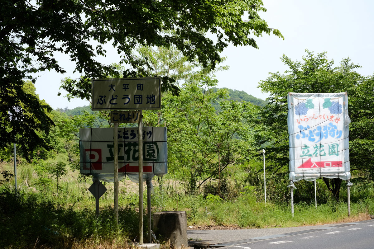 c0084666_21084581.jpg