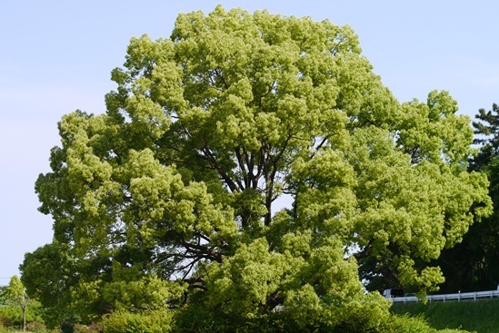 b0114367_23514353.jpg