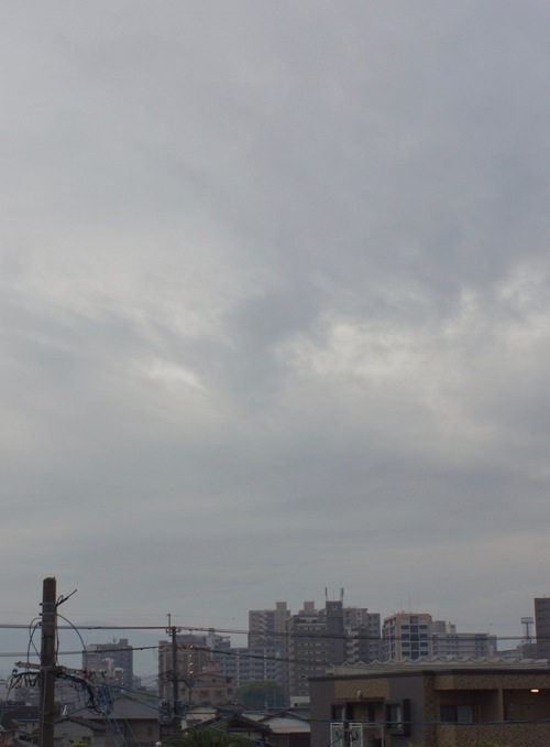 c0169176_835327.jpg