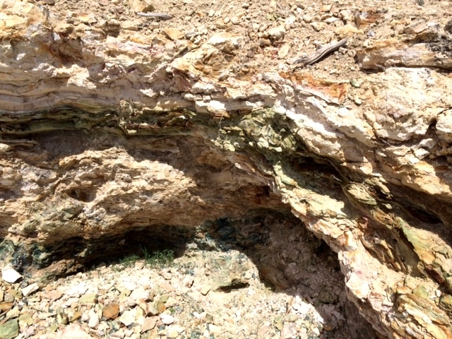d0080282_11141620.jpg