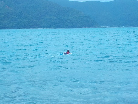 d0170586_20215175.jpg
