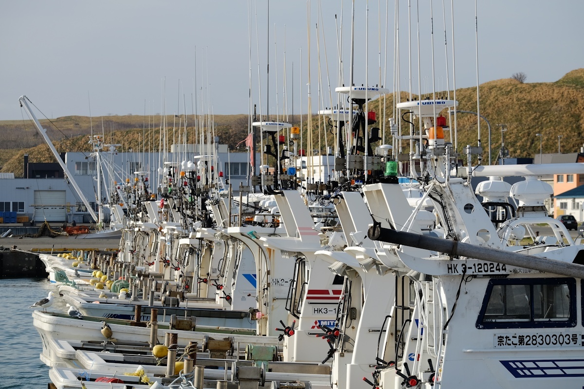 e0051186_20240054.jpg