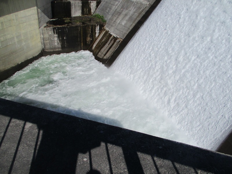f0202703_228221.jpg