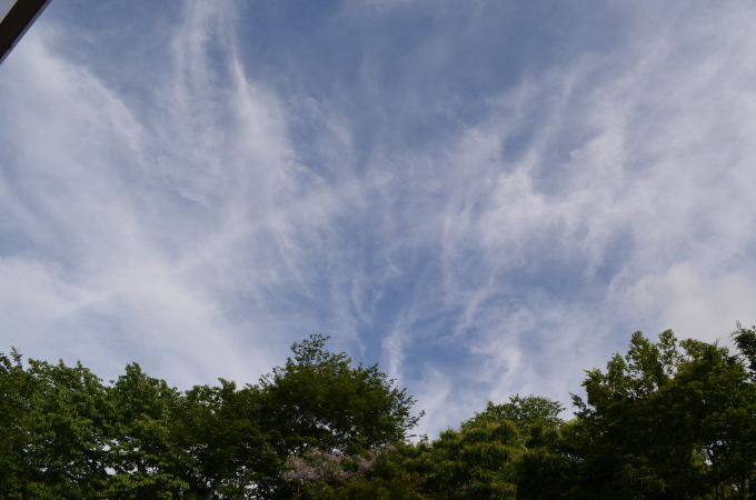 f0191517_17022484.jpg