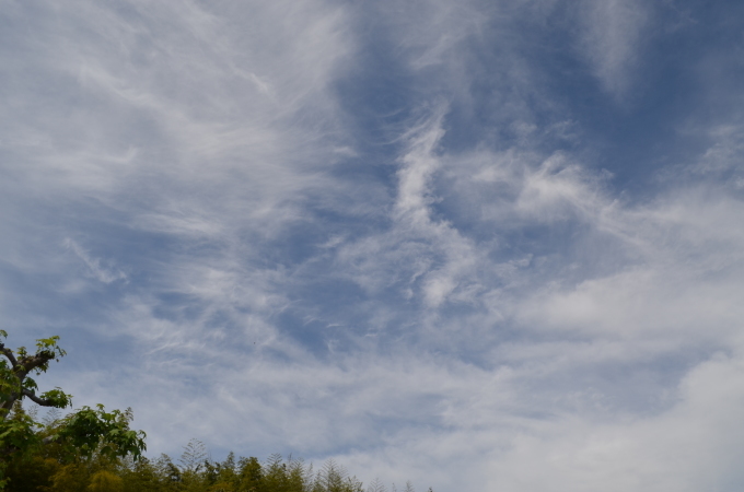 f0191517_17042488.jpg