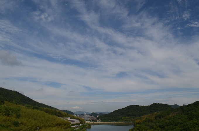 f0191517_17055124.jpg