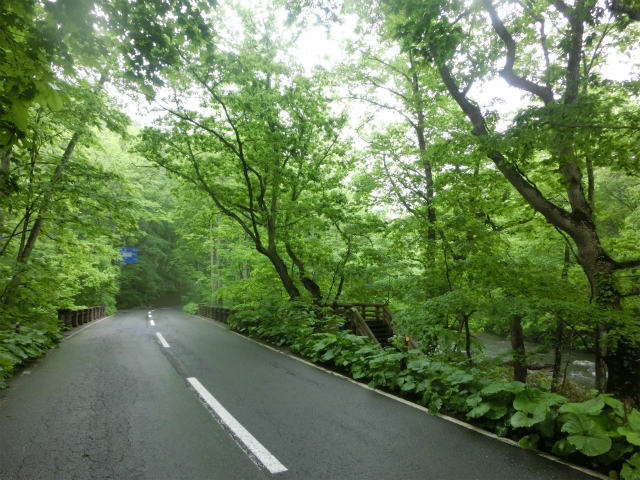 a0206621_18304914.jpg