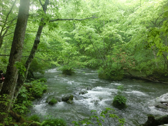 a0206621_18304960.jpg