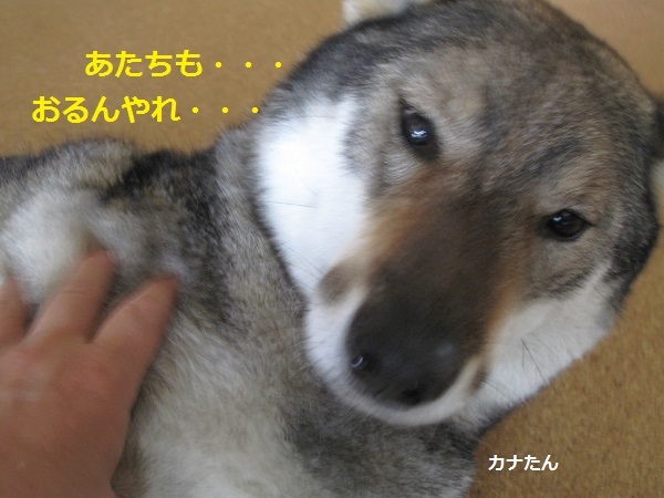 f0143123_11503700.jpg