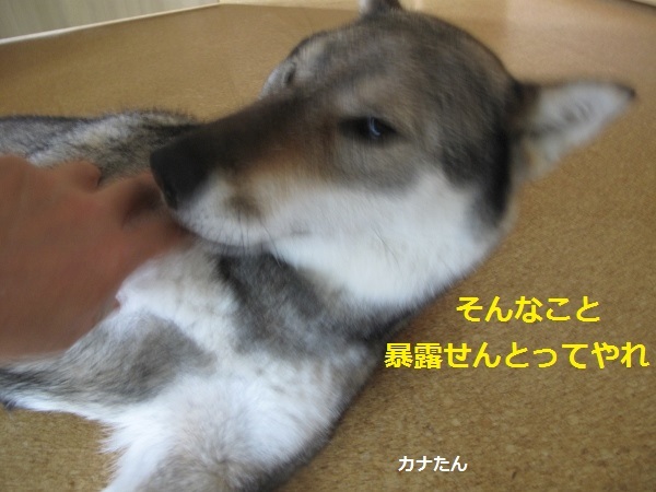 f0143123_11504613.jpg