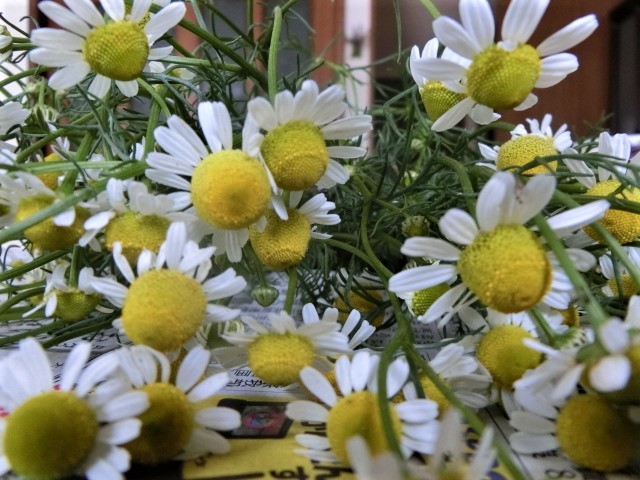f0354923_22030717.jpg