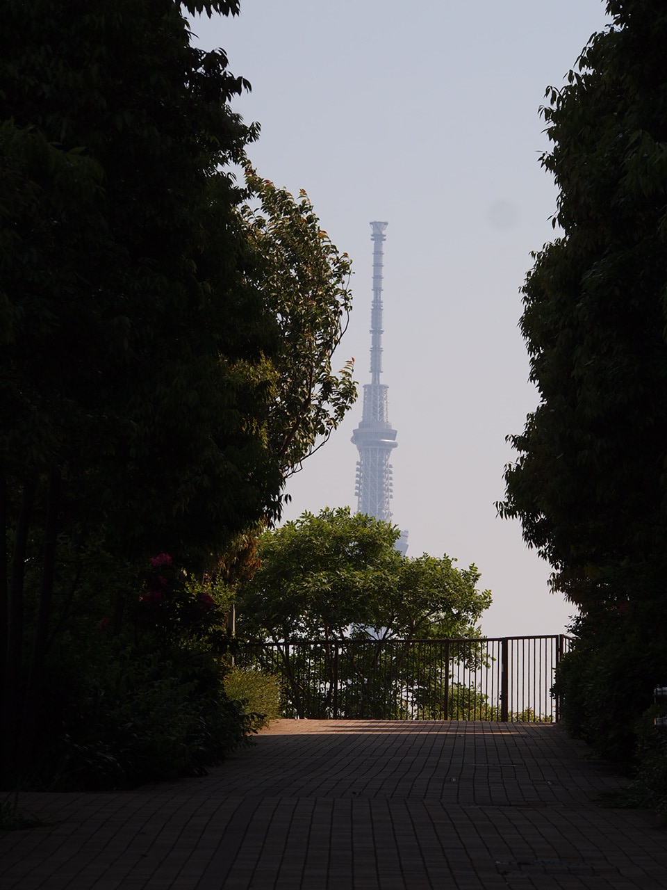a0214329_21264767.jpg