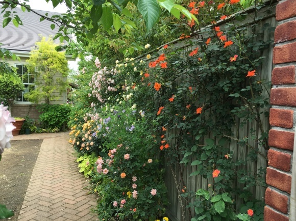 f0231829_11352588.jpeg